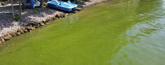 New technologies for monitoring HABs in Owasco Lake