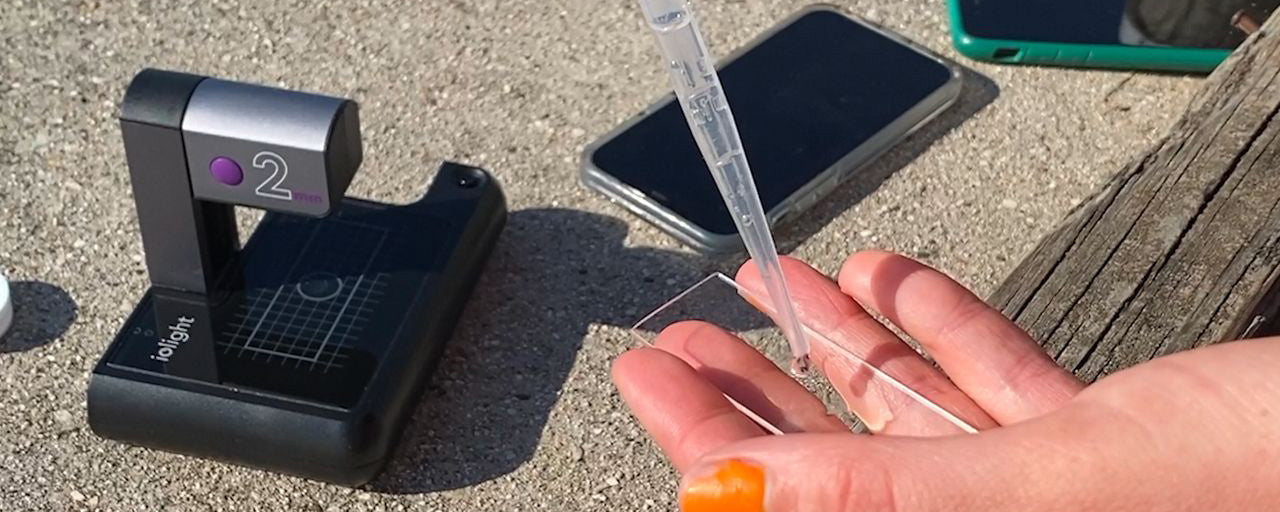 Identifying Algae Machine 'It enables faster testing': A new tool for finding toxic algae ...
